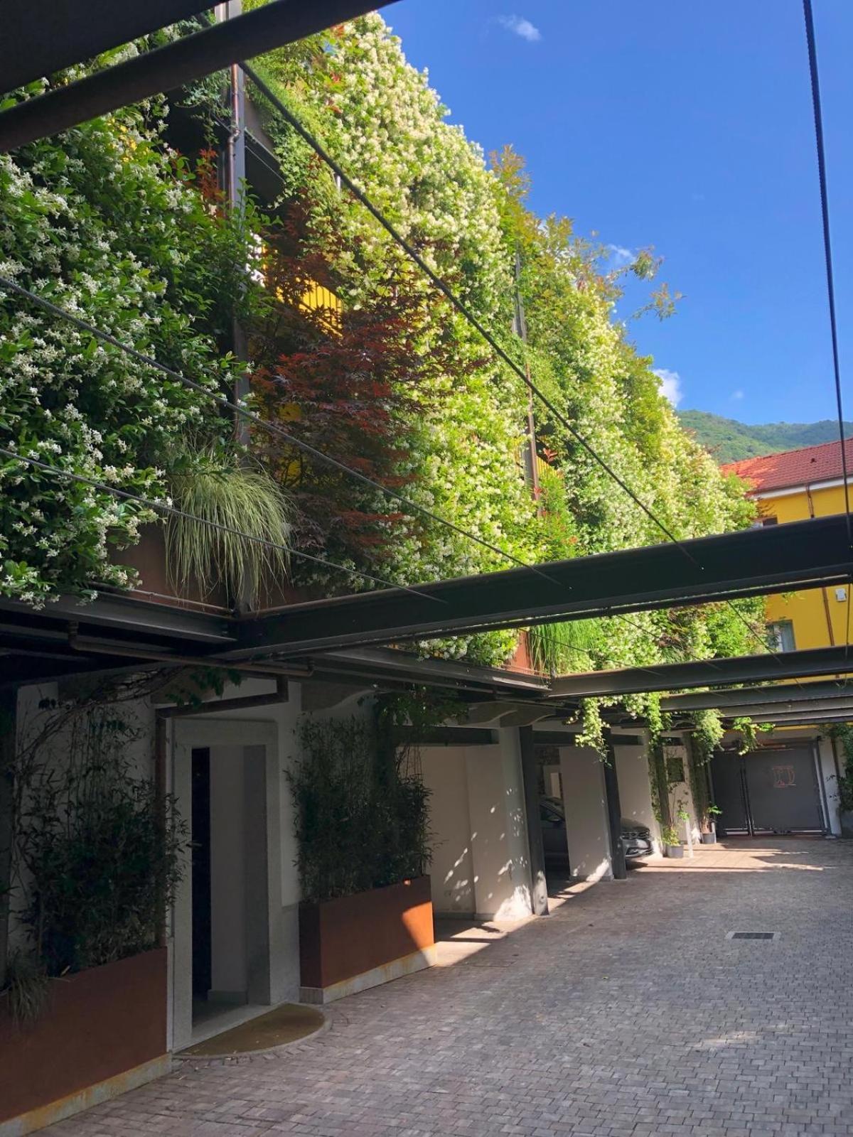 Residence Casa Coppa Appartamento Aster Omegna Eksteriør billede